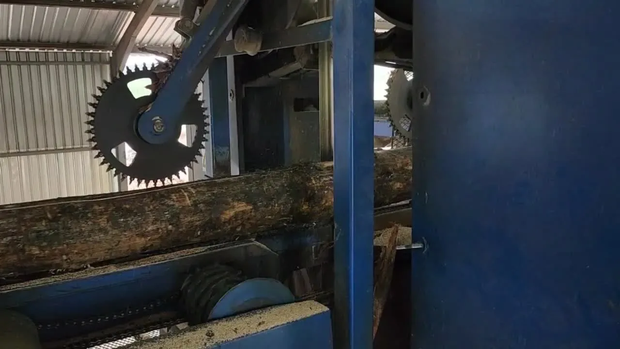 Logs moving through the Raizwood sawmill